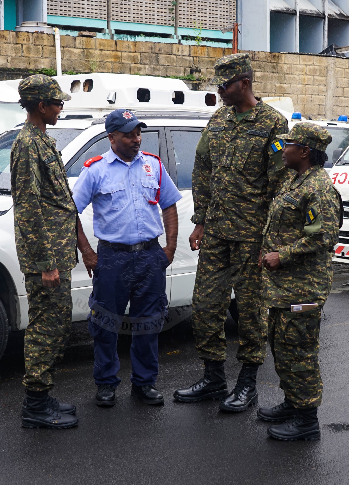 BDF Dominica Psychosocial Support