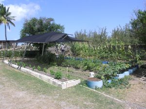 The Barbados Defence Force Farm Project